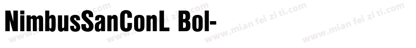 NimbusSanConL Bol字体转换